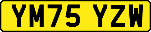 YM75YZW