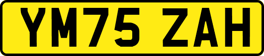 YM75ZAH
