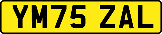 YM75ZAL