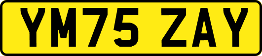 YM75ZAY
