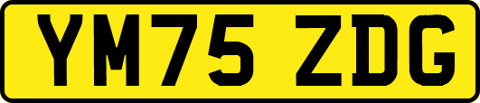 YM75ZDG