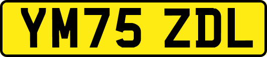 YM75ZDL