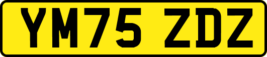 YM75ZDZ