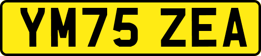 YM75ZEA