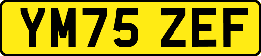 YM75ZEF