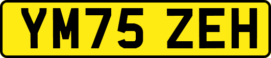 YM75ZEH
