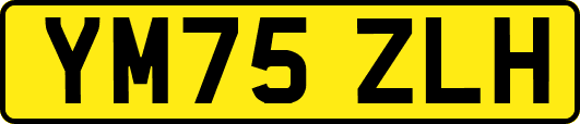 YM75ZLH