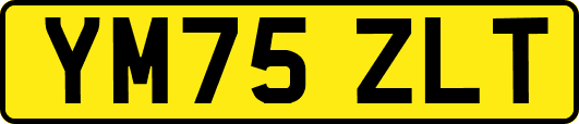YM75ZLT