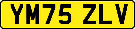 YM75ZLV