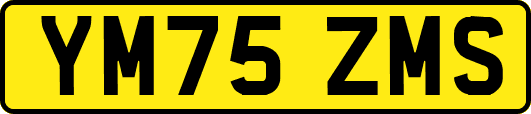 YM75ZMS