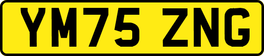 YM75ZNG
