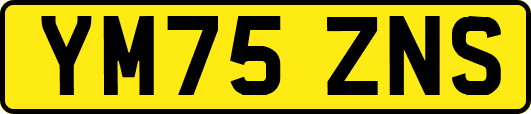 YM75ZNS