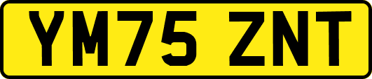 YM75ZNT