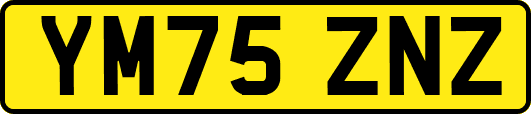 YM75ZNZ