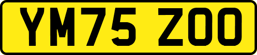 YM75ZOO
