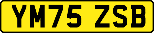 YM75ZSB