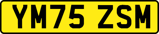 YM75ZSM