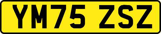 YM75ZSZ