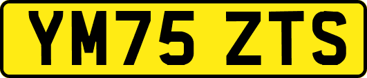 YM75ZTS
