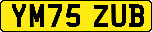 YM75ZUB