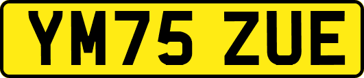YM75ZUE