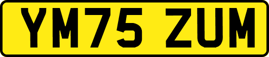 YM75ZUM