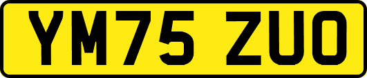 YM75ZUO