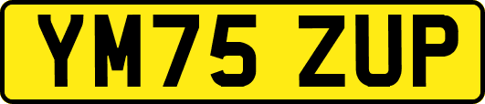 YM75ZUP