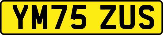 YM75ZUS