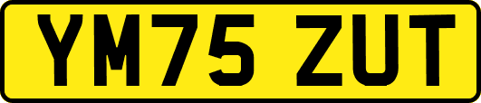 YM75ZUT