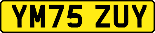 YM75ZUY