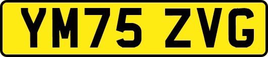 YM75ZVG