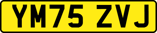 YM75ZVJ