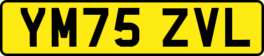 YM75ZVL