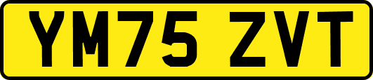 YM75ZVT
