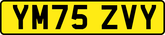 YM75ZVY