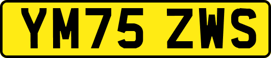 YM75ZWS