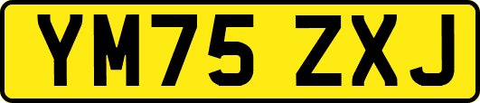 YM75ZXJ