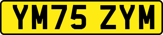 YM75ZYM