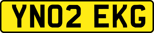 YN02EKG