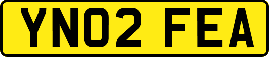 YN02FEA