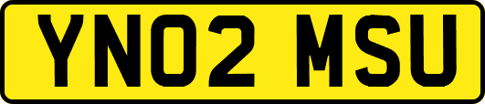 YN02MSU