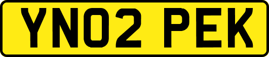 YN02PEK