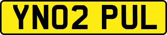 YN02PUL
