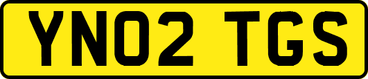 YN02TGS