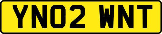 YN02WNT
