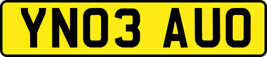 YN03AUO