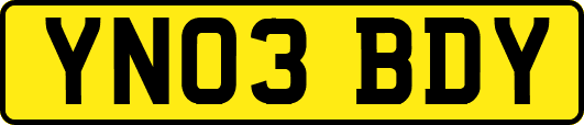 YN03BDY