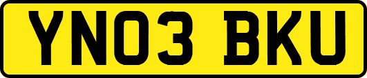 YN03BKU