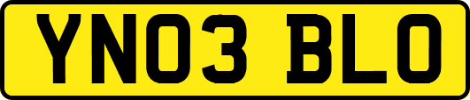 YN03BLO